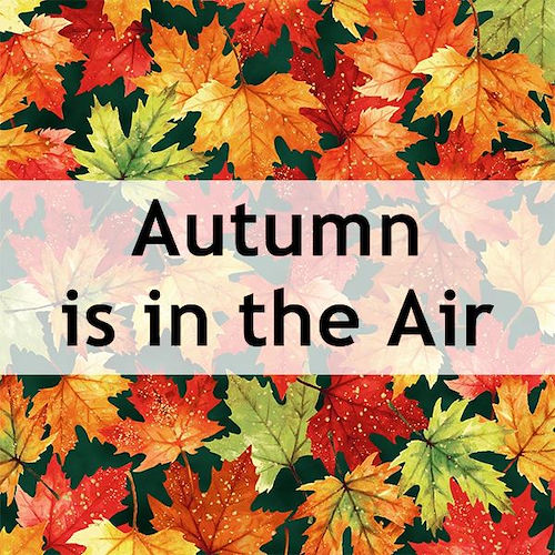 Autumn is in the Air
